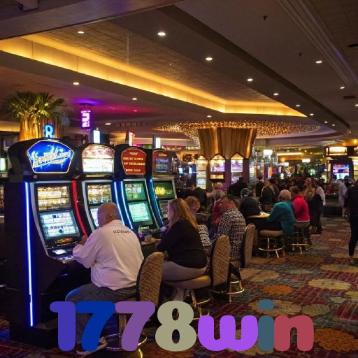 1778win 