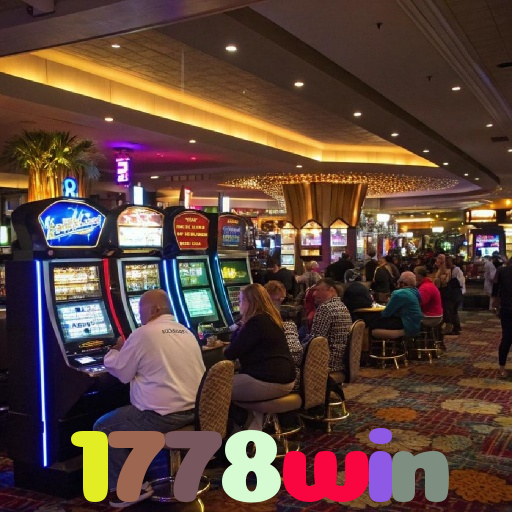 1778win 