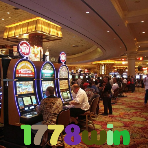 1778win 