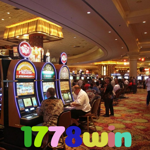 1778win 