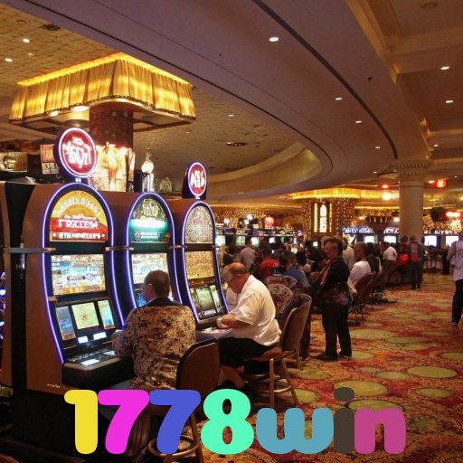 1778win 