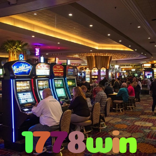 1778win 