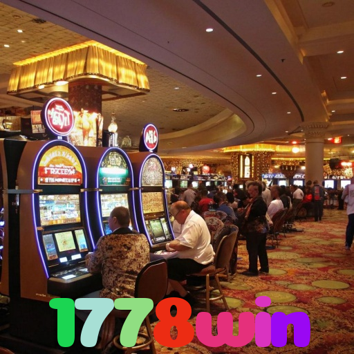 1778win 