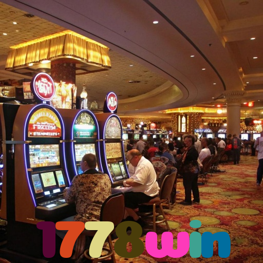 1778win 