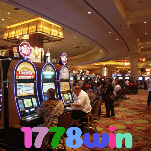 1778win 