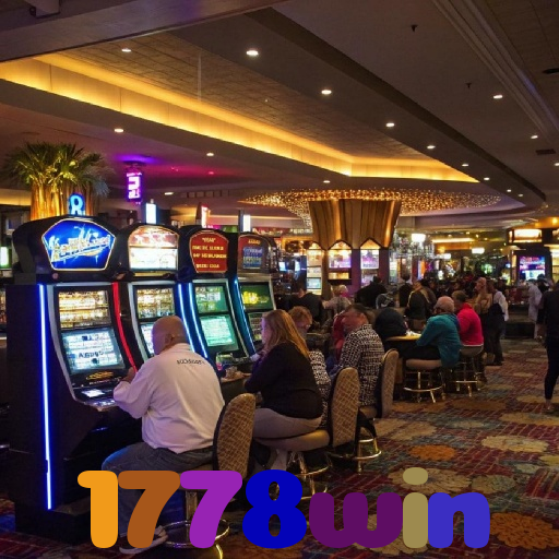 1778win 