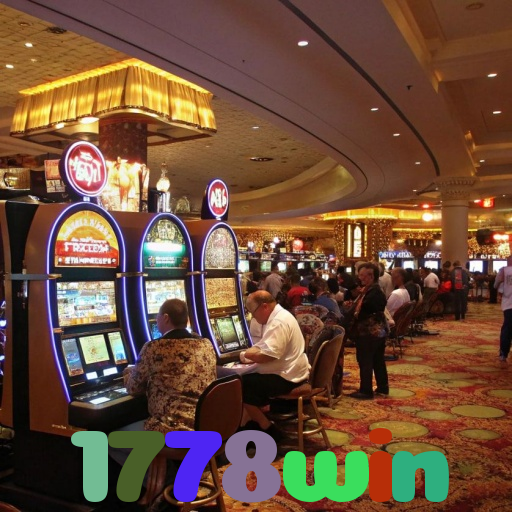 1778win 