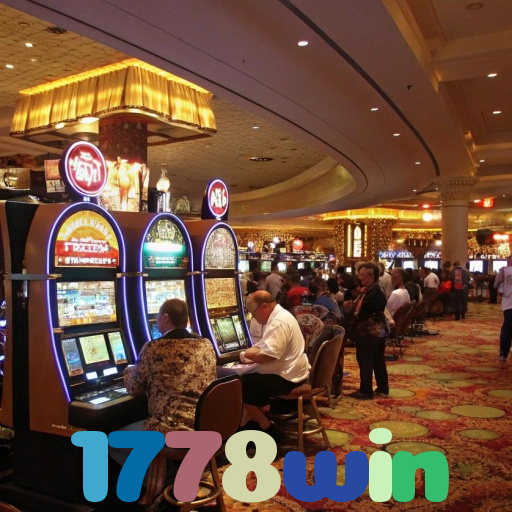 1778win 