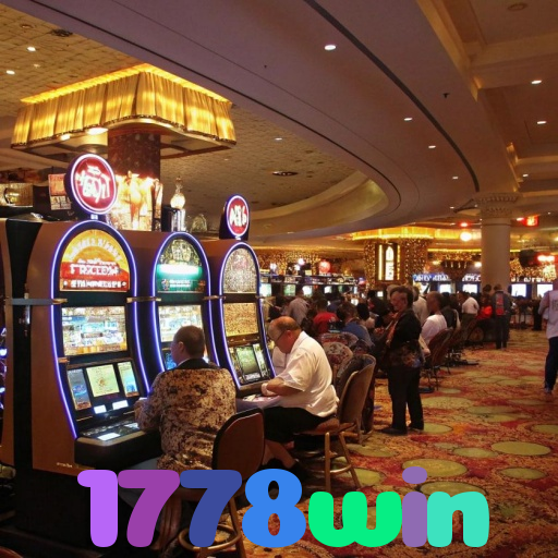 1778win 