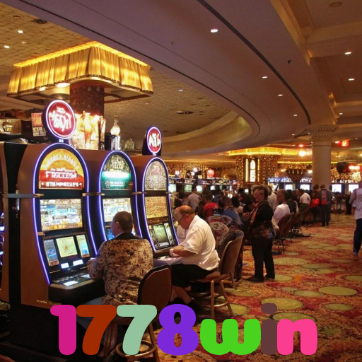 1778win 