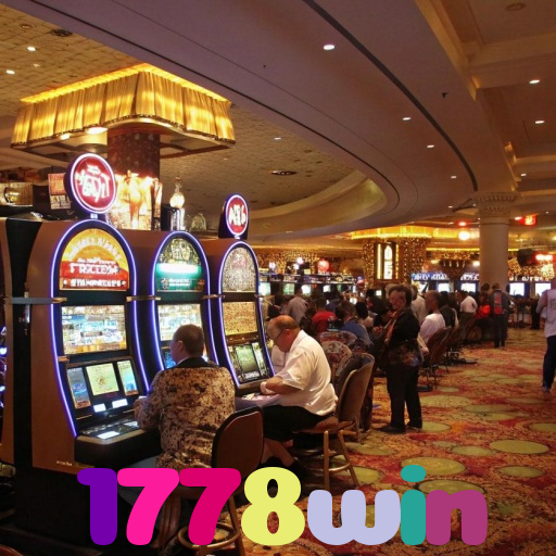 1778win 